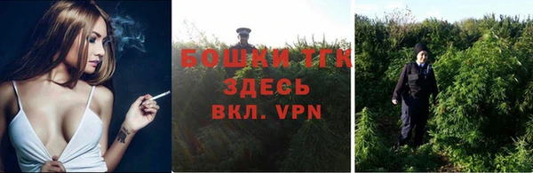 соль ск Верхний Тагил