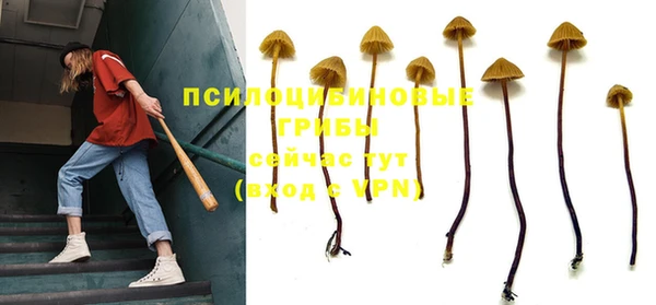 соль ск Верхний Тагил