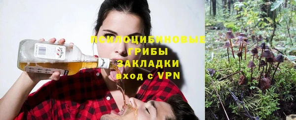 соль ск Верхний Тагил