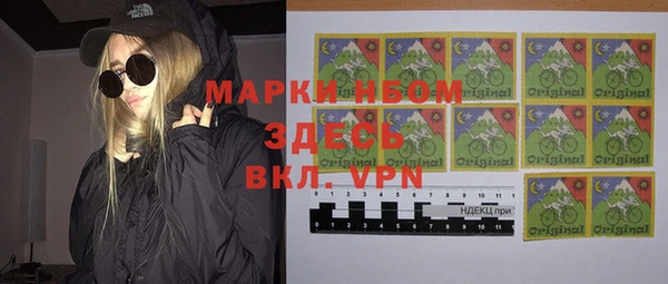 амф Верея