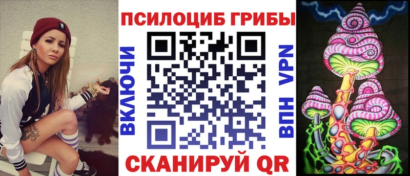 Псилоцибиновые грибы Psilocybe  Орехово-Зуево 